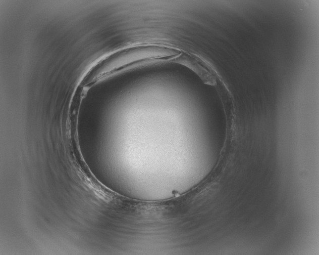 X0000077360924200610201318