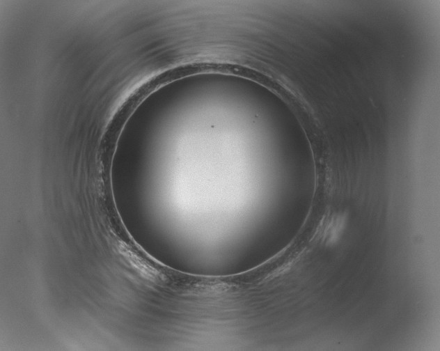 X0000077360926200610201318