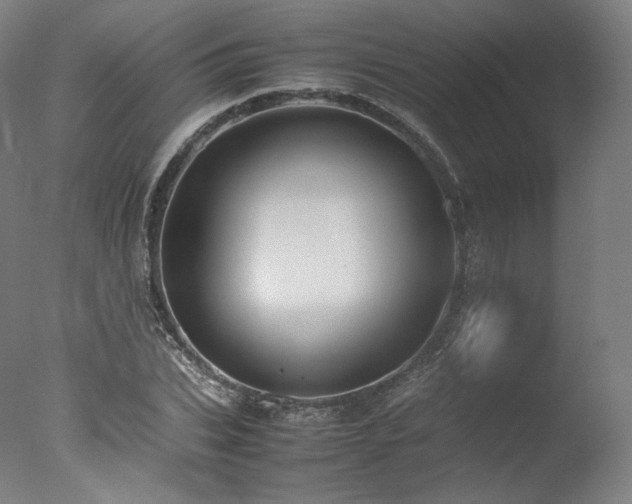 X0000077360927200610201318