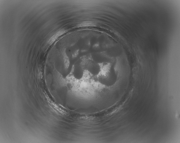 X0000077360929200610201319