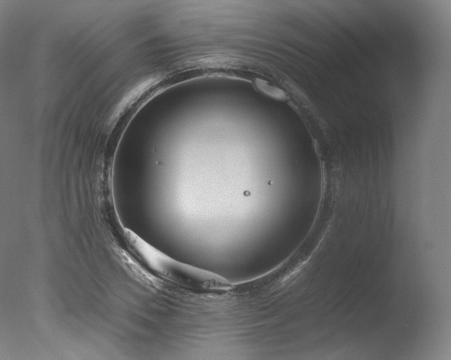 X0000077360930200610201319