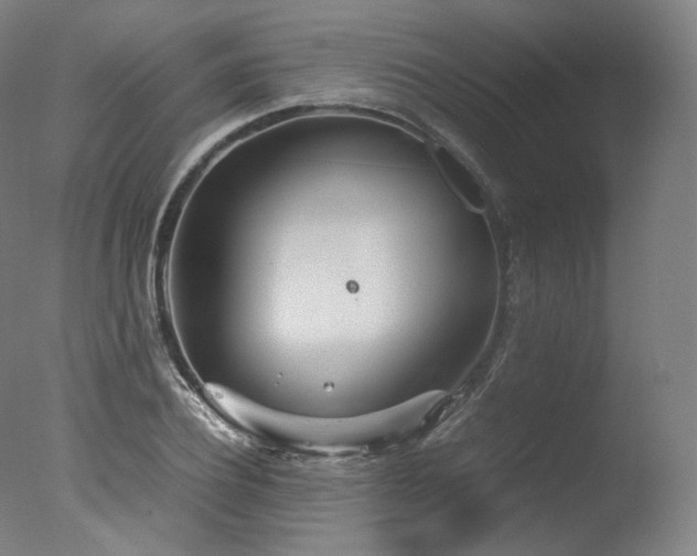 X0000077360932200610201319