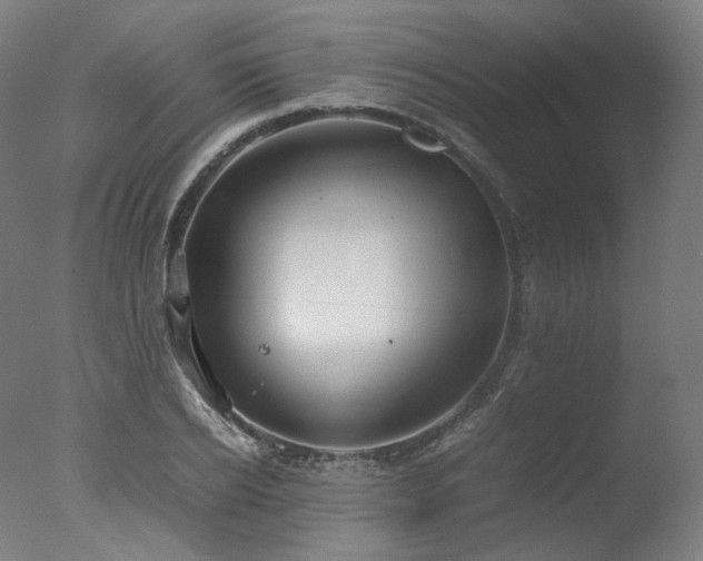 X0000077360934200610201319