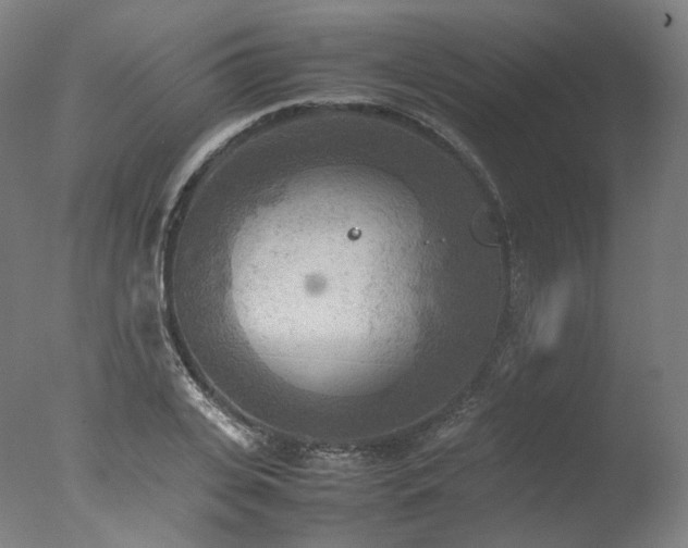 X0000077360935200610201319