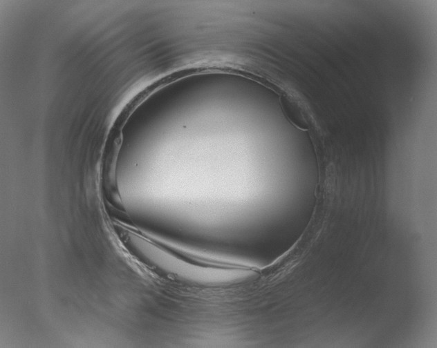 X0000077360936200610201319