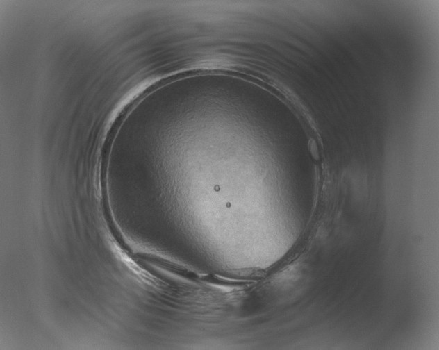 X0000077360939200610201319