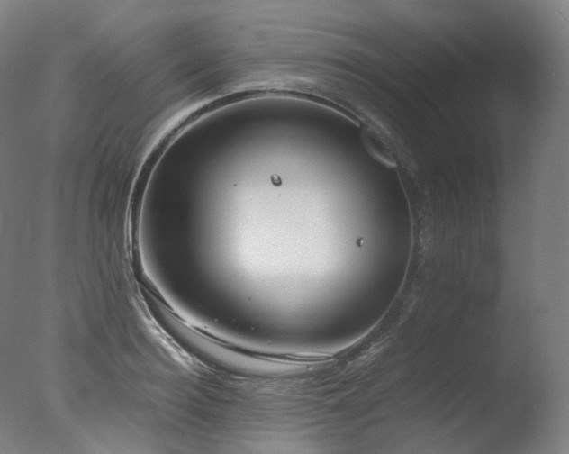 X0000077360940200610201319