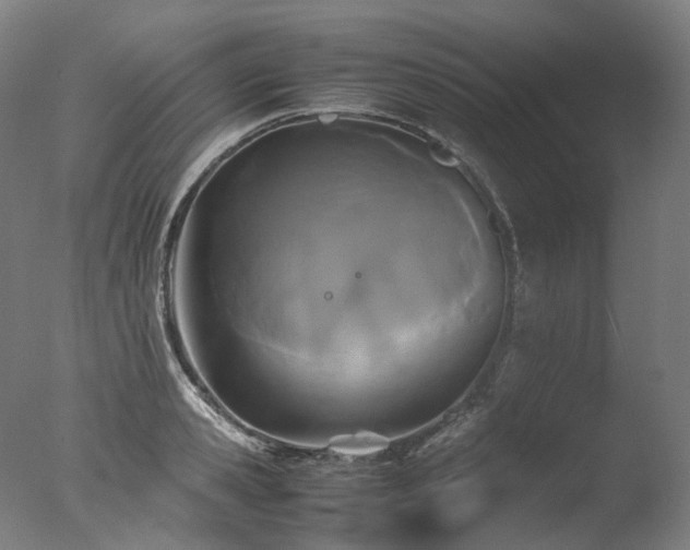 X0000077360941200610201319