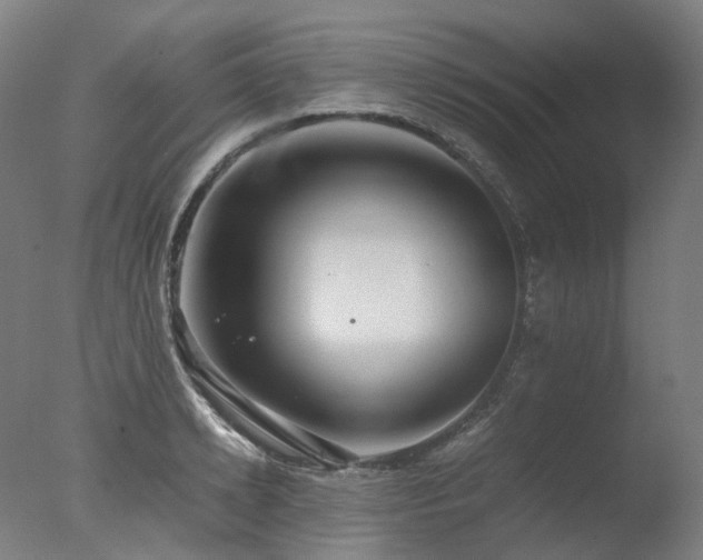 X0000077360942200610201319