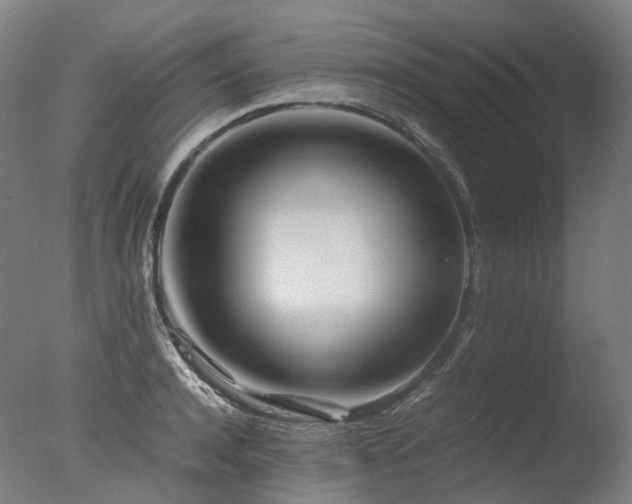 X0000077360944200610201319