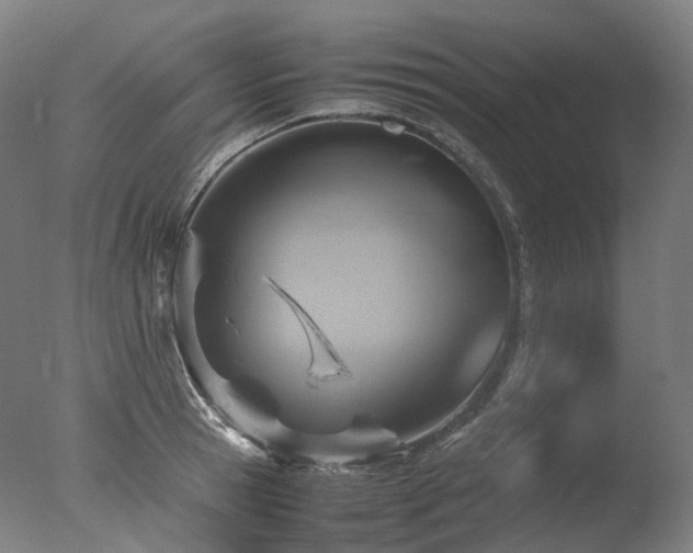 X0000077360945200610201319