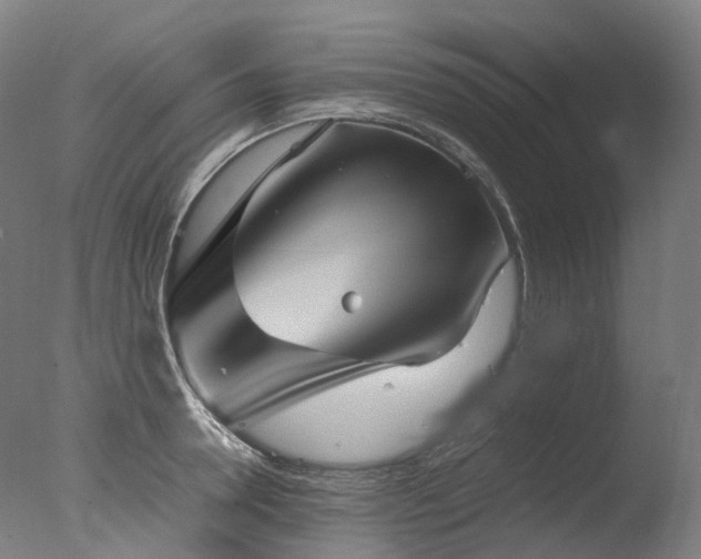 X0000077360946200610201319