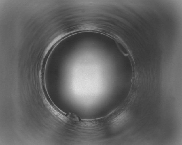 X0000077360947200610201319