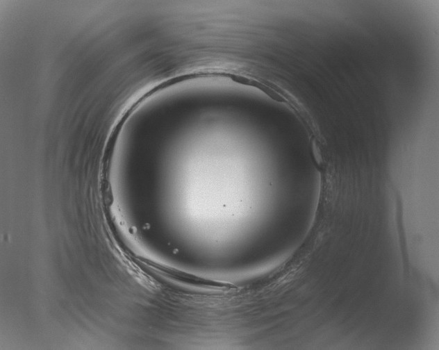 X0000077360948200610201319