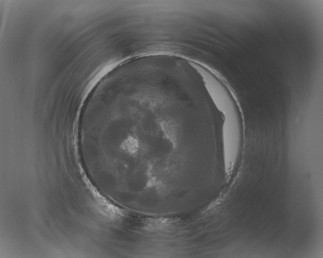 X0000077360949200610201319