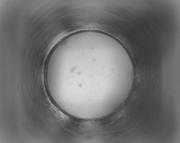 X0000077360950200610201319