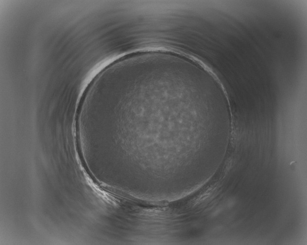 X0000077360951200610201319