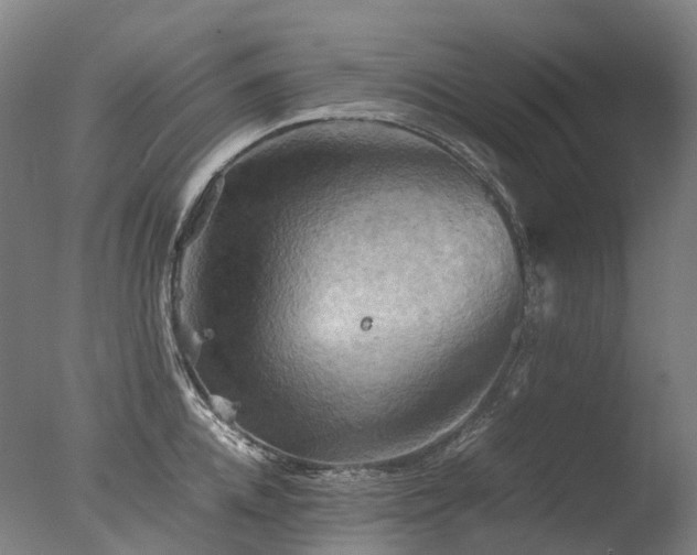 X0000077360952200610201319