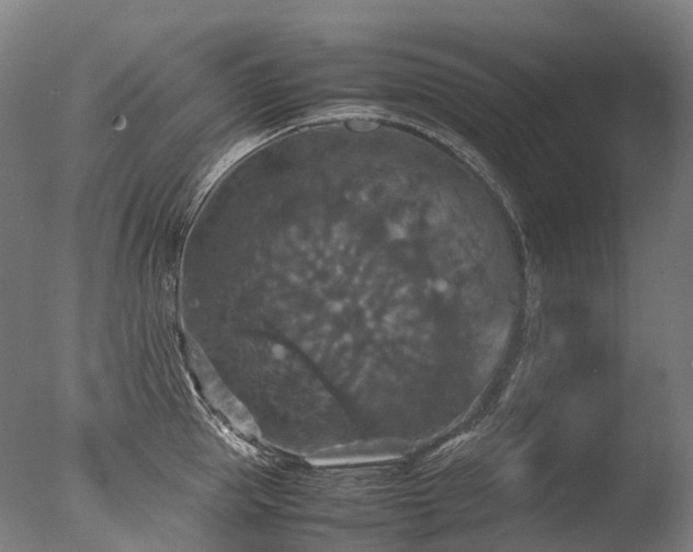 X0000077360953200610201319