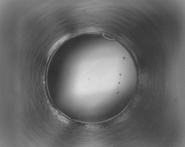 X0000077360954200610201319