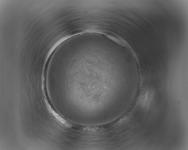 X0000077360955200610201319