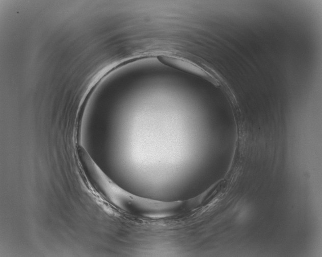 X0000077360956200610201319