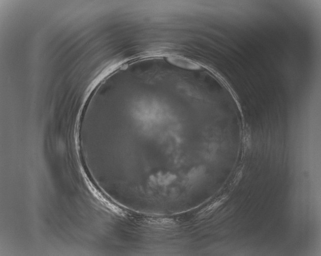 X0000077360957200610201319