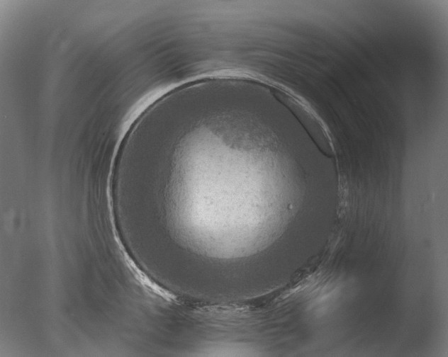 X0000077360959200610201319