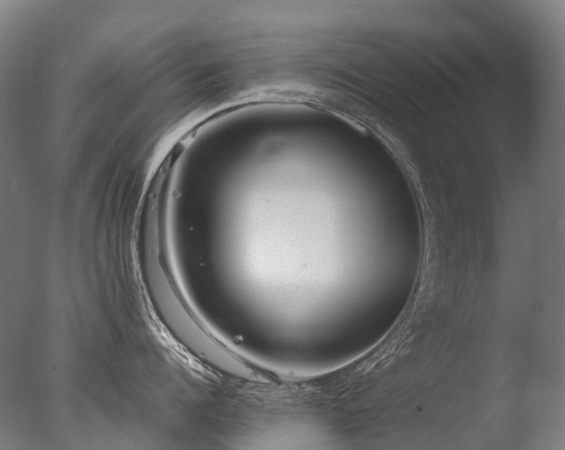 X0000077360960200610201319