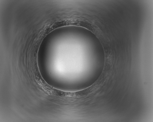 X0000077360961200610201318