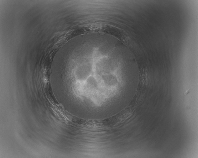 X0000077360962200610201318