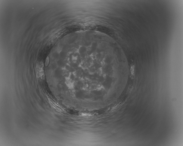 X0000077360963200610201318