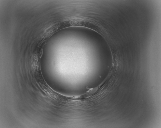 X0000077360964200610201318