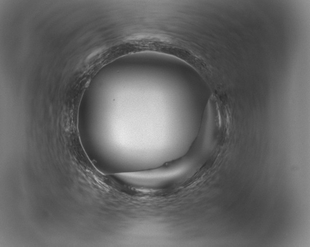 X0000077360965200610201318