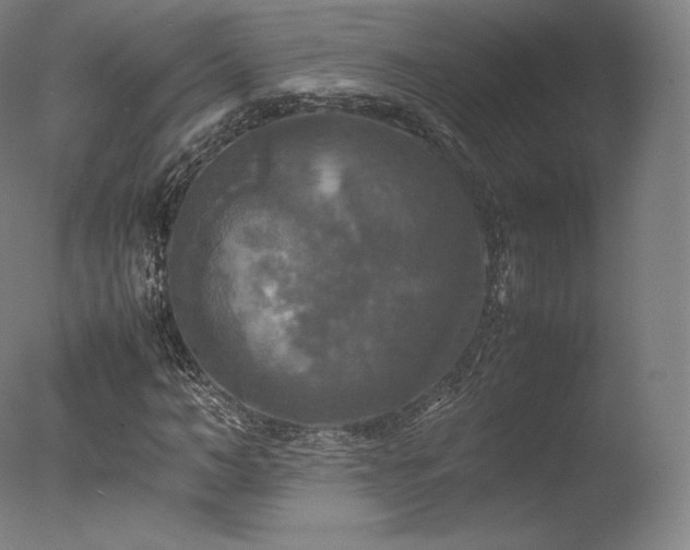 X0000077360966200610201318