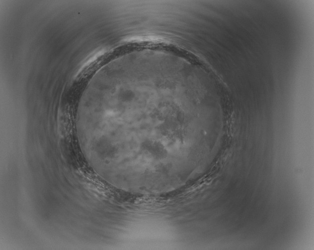 X0000077360967200610201318