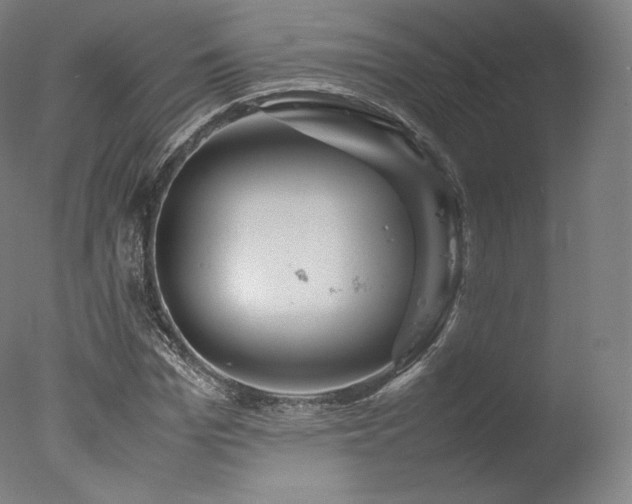 X0000077360969200610201318