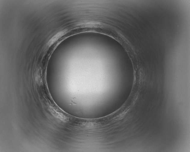 X0000077360970200610201318