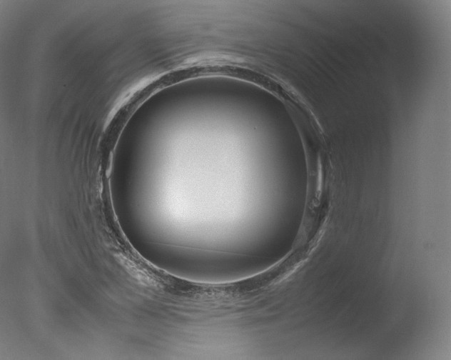 X0000077360973200610201318