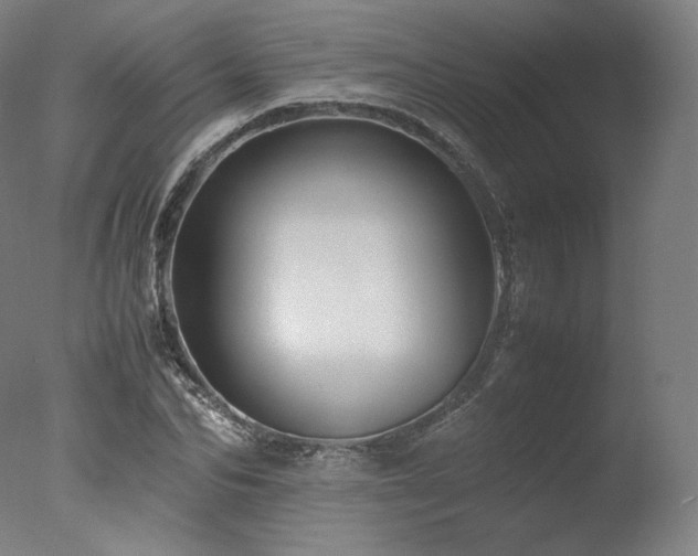 X0000077360974200610201318