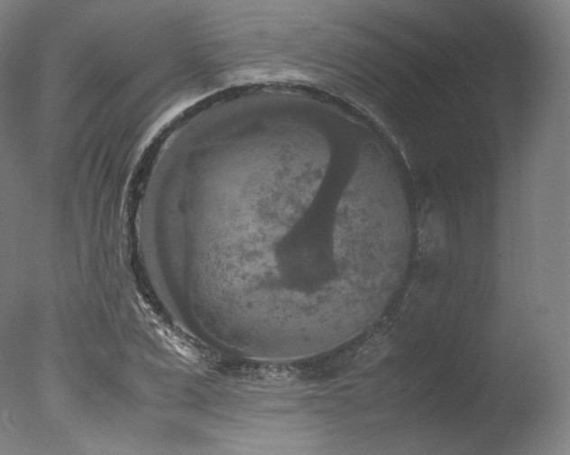 X0000077360975200610201318