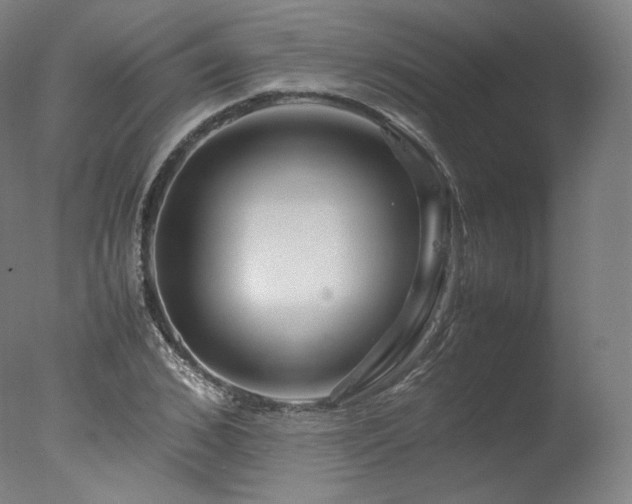 X0000077360976200610201318