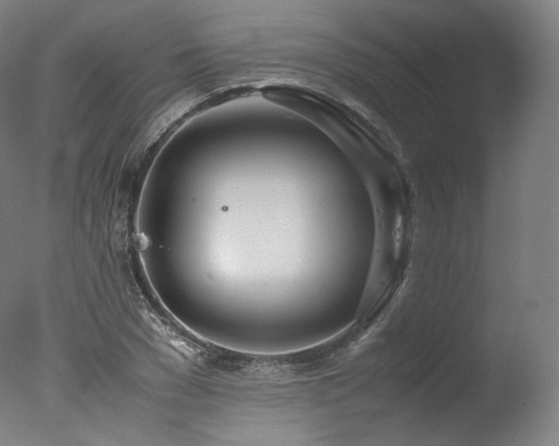 X0000077360977200610201318