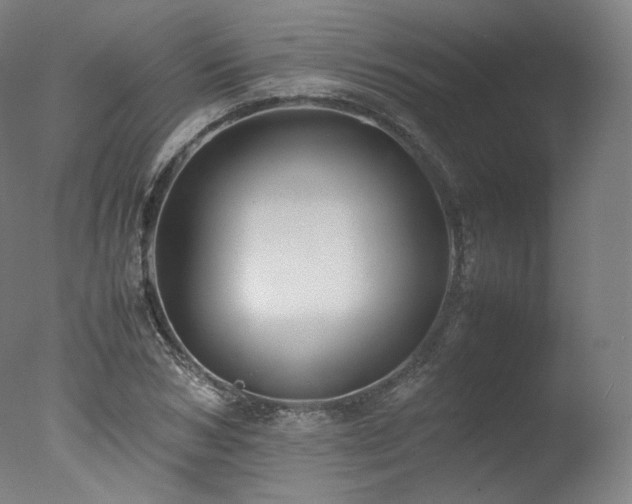 X0000077360978200610201318