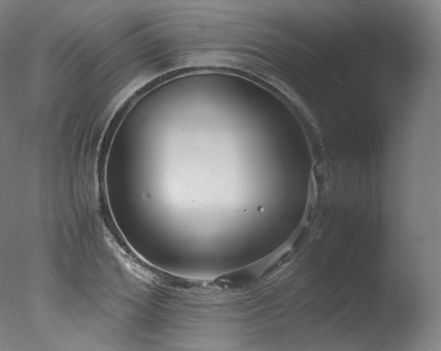 X0000077360980200610201318