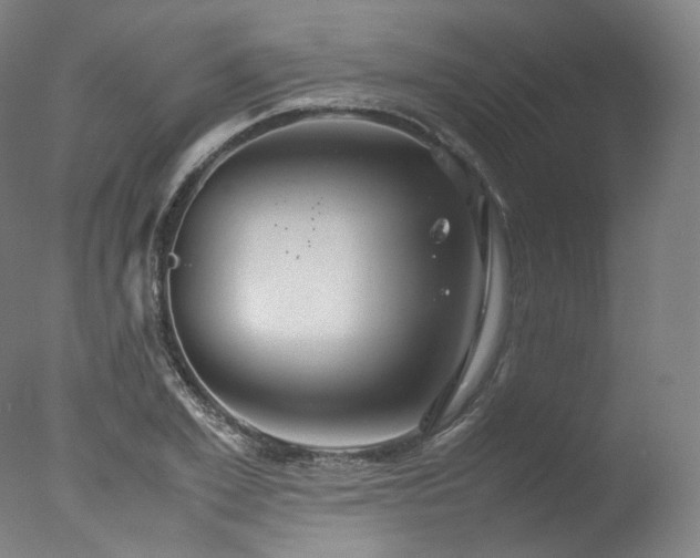 X0000077360981200610201318