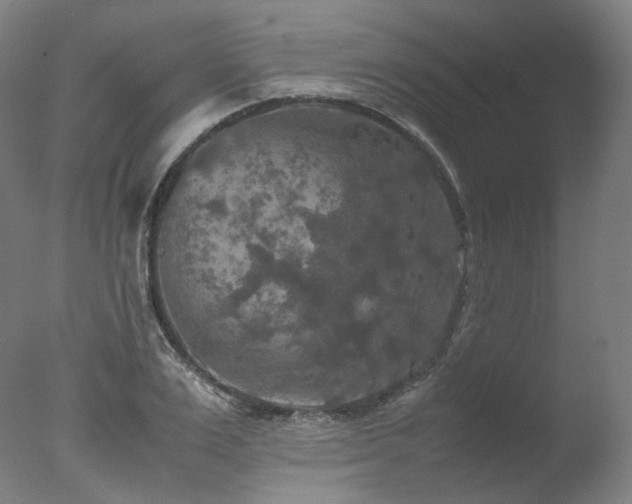 X0000077360983200610201318