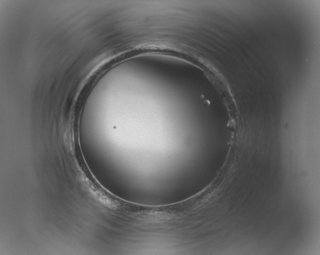 X0000077360984200610201318