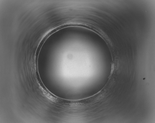 X0000077360988200610201318