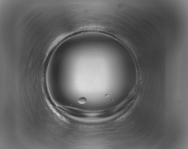 X0000077360989200610201318